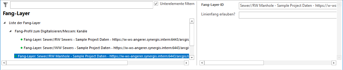 Fang-Layer Konfiguration
