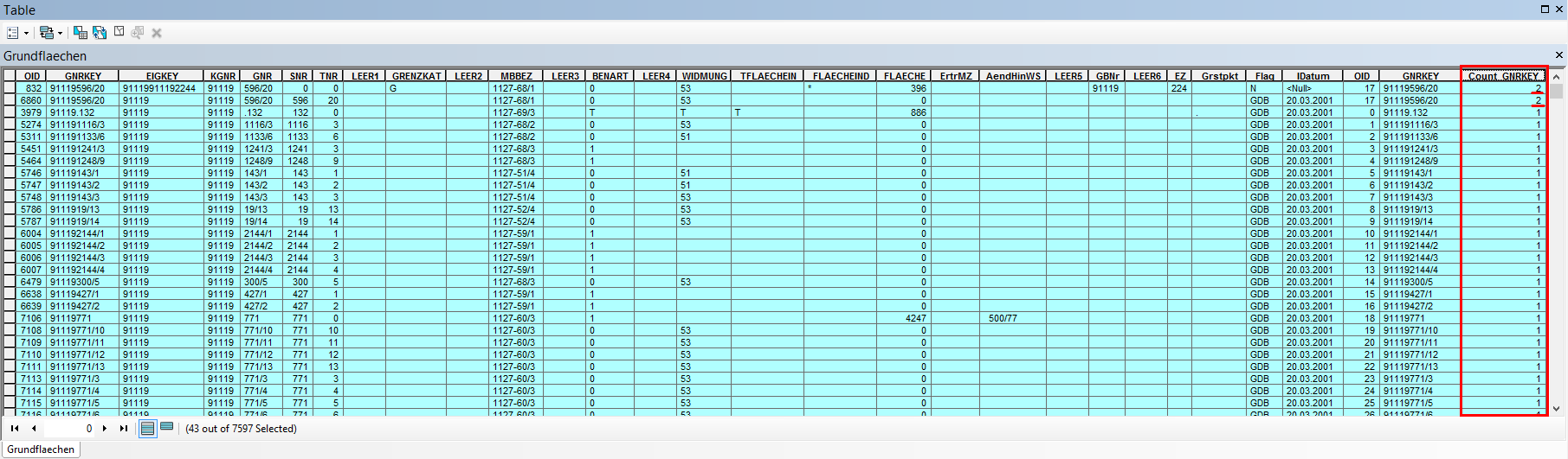 Darstellung der Attributtabelle zum Auffinden von doppelten Objektschlüssel-Einträgen Darstellung der Attributtabelle zum Auffinden von doppelten Objektschlüssel-Einträgen