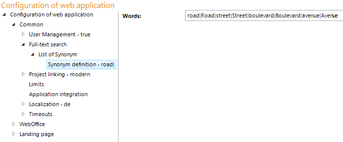 Synonym definition configuration