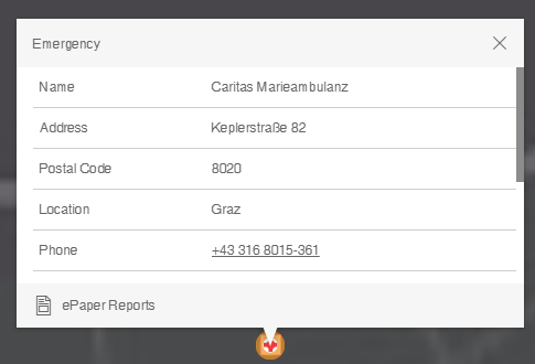 Single result with ePaper configuration in the WebOffice flex client Single result with ePaper configuration in the WebOffice flex client