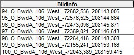 Key field "Bildinfo" with information about the oblique aerial images Key field "Bildinfo" with information about the oblique aerial images