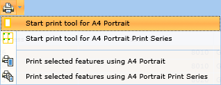 Various printing options