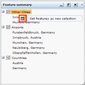 Context menu of Feature summary on layer level