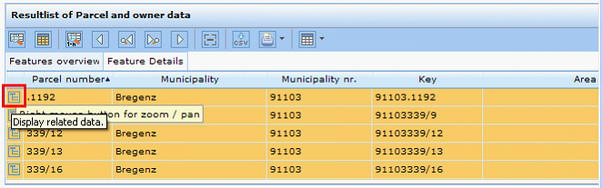 Display related data icon