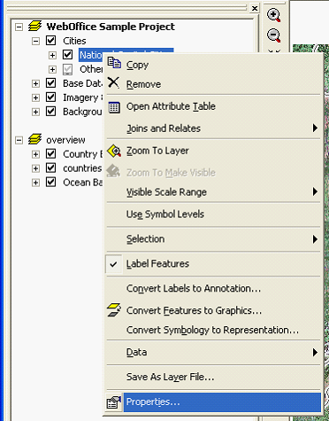ArcMap layer properties