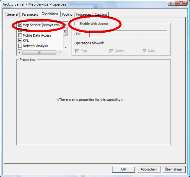 Disabled Web Access for ArcGIS Server services