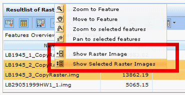 Raster choice functionality in WebOffice 10 R3 client