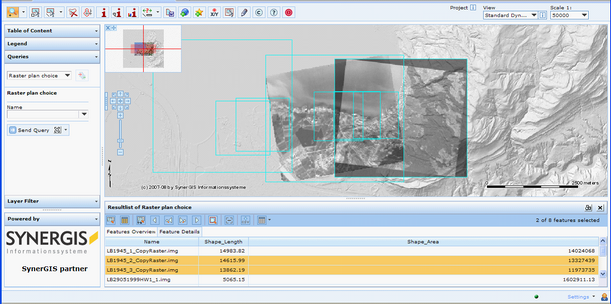 Result of Raster choice function - on-the-fly display of raster images