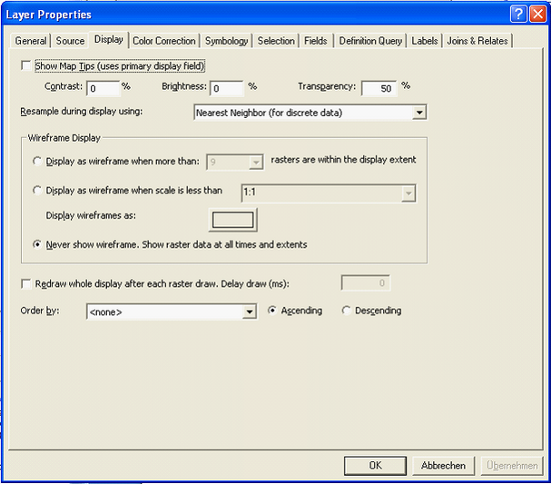 ArcMap Display tab of Raster catalog layer
