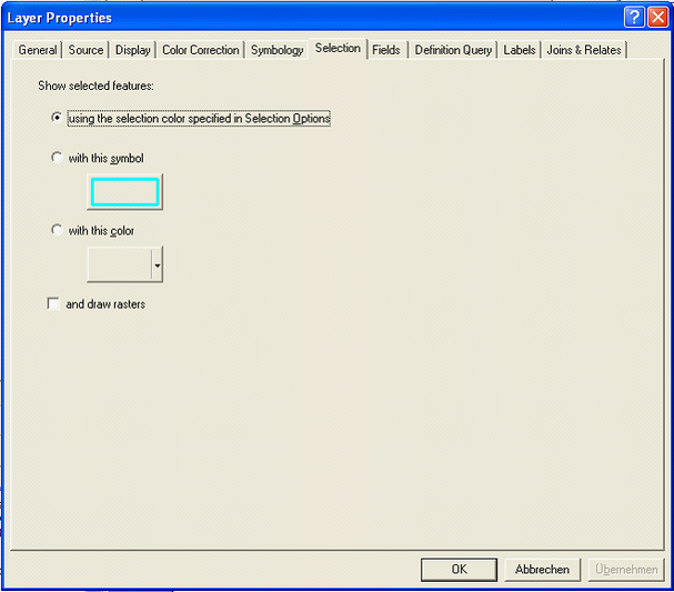 Selection tab of ESRI Raster catalog layer - 'and draw rasters' NOT checked