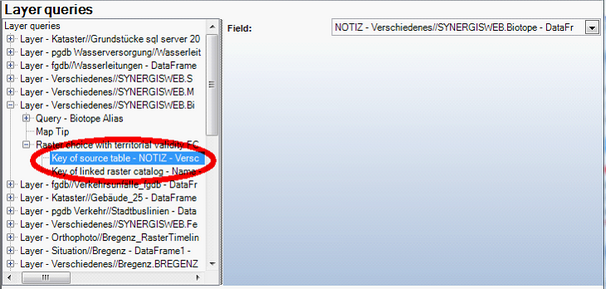 Raster choice with territorial validity FC