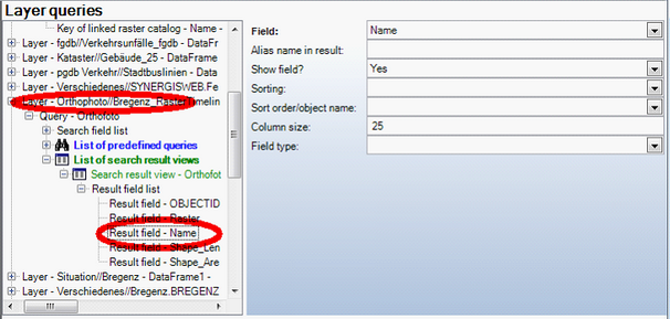 Key of linked raster catalog configured in search result view