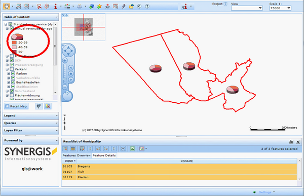 Display of revenue percentage for each age group for different sales regions