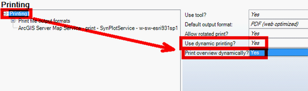 Dynamic printing and dynamic overview map printing setup