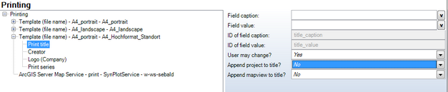 Print title configuration