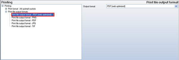 Print file output format configuration