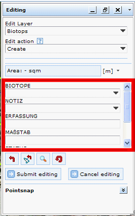 Edit fields in edit form of WebOffice 10 R3 client