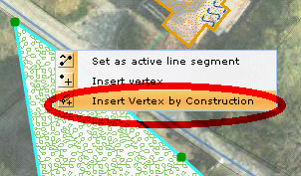 Context menu on polygon segment for manipulating object geometry