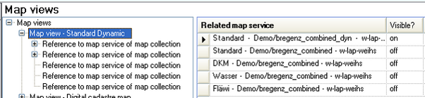 Map view 'Standard Dynamic' configuration