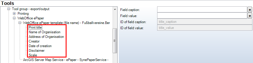 Function fields of an epaper template