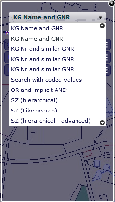 Expanded search form in WebOffice 10 R3 flex