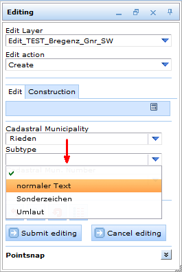 Hierarchical levels in the editing form - filtered values