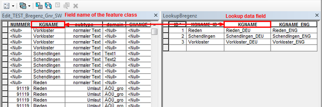 Feldname aus der Feature Class und beschreibendes Feld in der Lookup-Tabelle