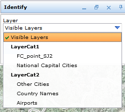 Identify with layer categories in WebOffice html client