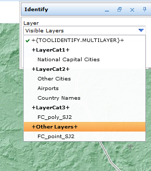 Layer category other layers in WebOffice html client