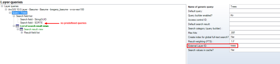 Layer without predefined query for external parameterized call
