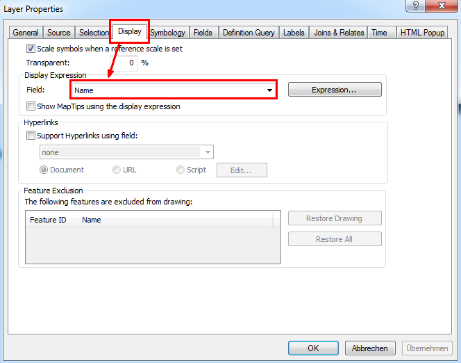 Defining a field in ArcMap as 'Display field'