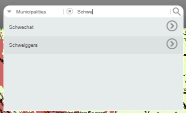Suggestions based on entry