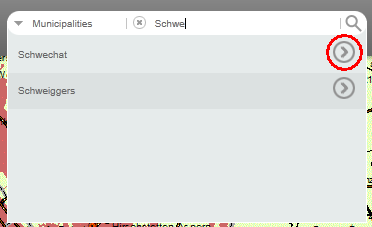 Run query of a suggestion