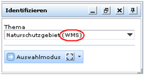 WMS Layer 'Verkehrsunfälle' im Formular für das Werkzeug ‘Identifizieren‘