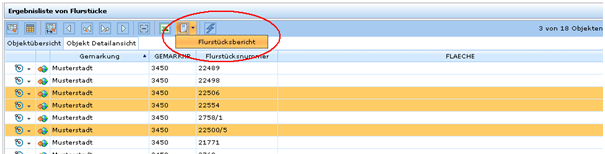 Reporterzeugung für 3 von 64 Objekten - nur 3 Zeilen eines Suchergebnisses wurden selektiert&nbsp;