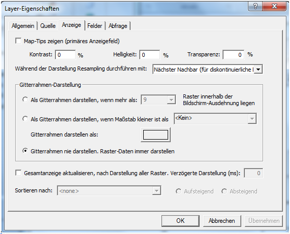 ArcMap ‚Anzeige‘-Tab eines Rasterkatalog Layers ArcMap ‚Anzeige‘-Tab eines Rasterkatalog Layers