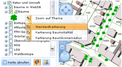 Thema Bäume in der Standarddarstellung Thema Bäume in der Standarddarstellung