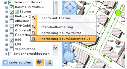 Thema Bäume in der Darstellung Baumkronenradius Thema Bäume in der Darstellung Baumkronenradius