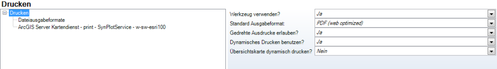 Konfiguration ‚Drucken“