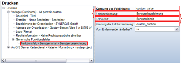Funktionsfeld 'my_custom_fieldvalue' Funktionsfeld 'my_custom_fieldvalue'