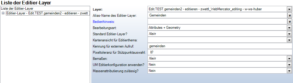 Konfiguration ‚Editier-Layer’