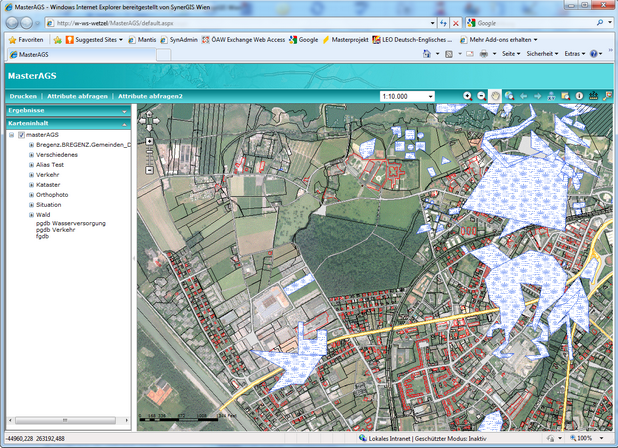 Mit dem ArcGIS Server Manager erzeugte Webapplikation