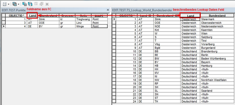 Feldname aus der Feature Class und beschreibendes Feld in der Lookup-Tabelle Feldname aus der Feature Class und beschreibendes Feld in der Lookup-Tabelle
