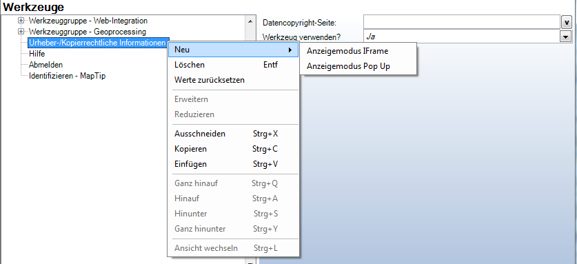 Konfiguration des Anzeigemodus