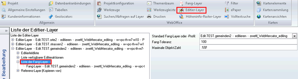 Konfiguration der Fang-Layer fürs Editieren