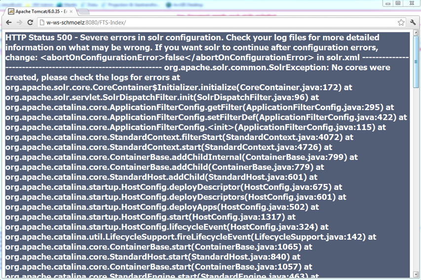 Der direkte Aufruf der FTS-Index URL verursacht eine Fehlermeldung im Browser