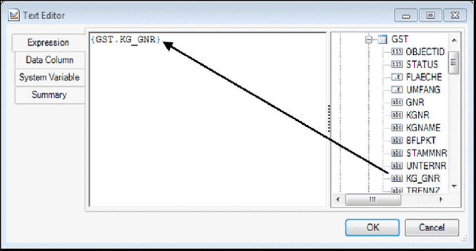 Text Editor - Data column