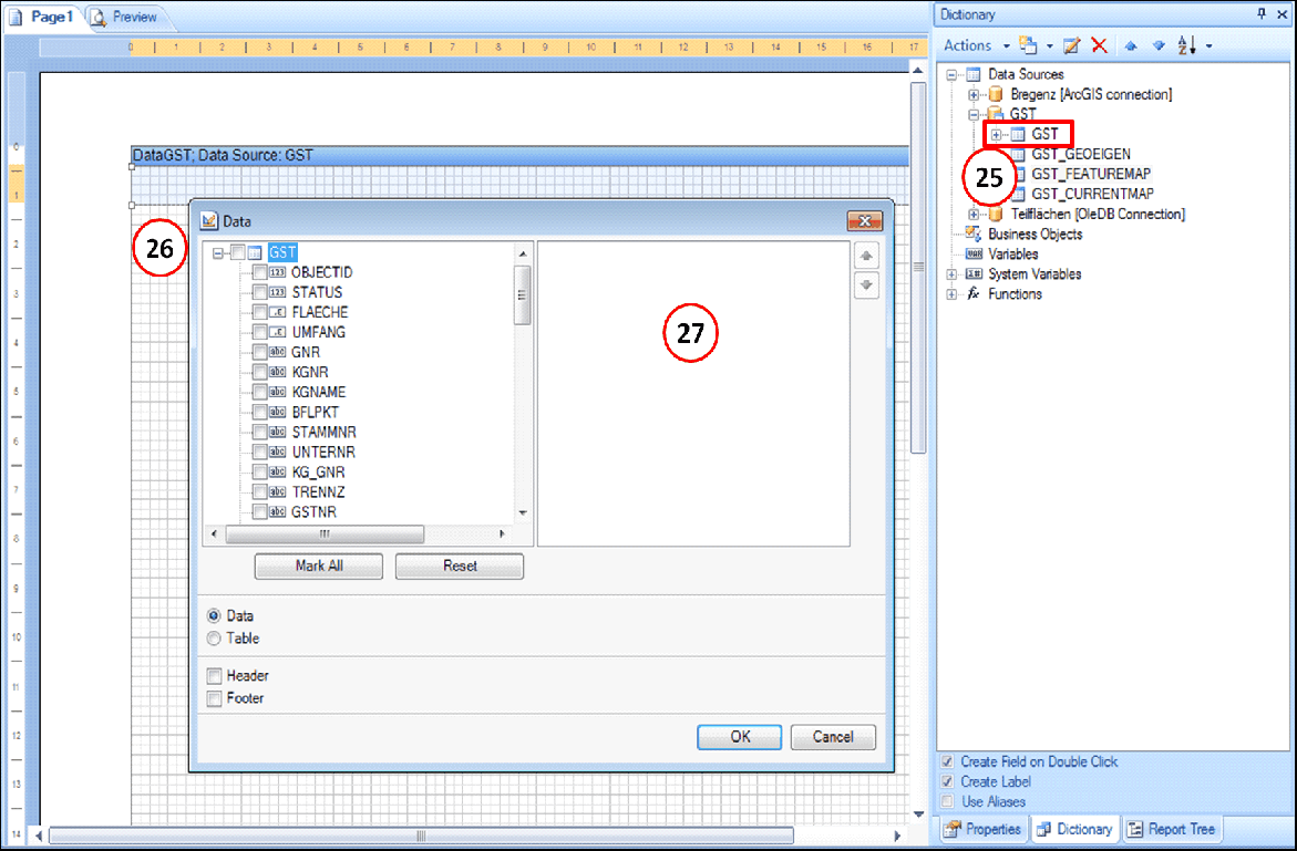 Dragging data source into the page