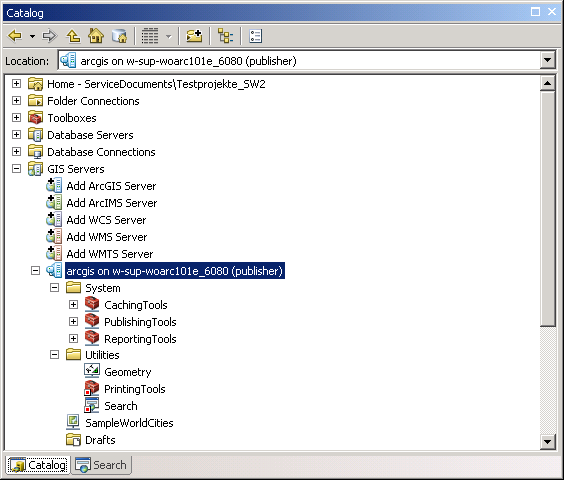 Erstellter ArcGIS Server