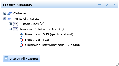 Expanded layers in the feature summary